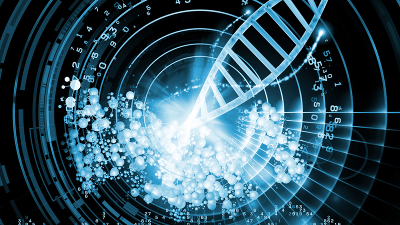 Illustration for article titled Ten Things You Probably Didn't Know About DNA